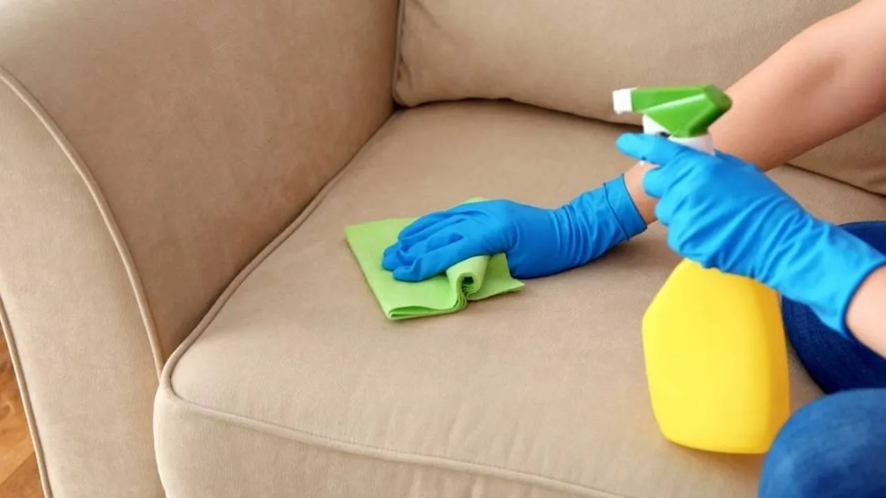 Как правильно ухаживать за диваном
