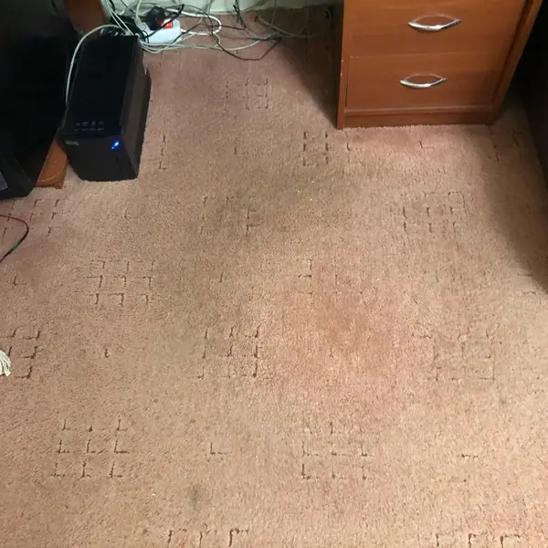 ковровое покрытие до чистки