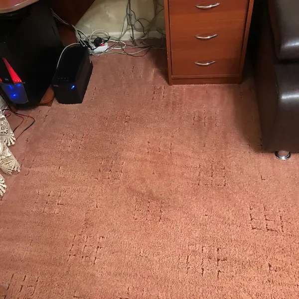 ковровое покрытие после чистки