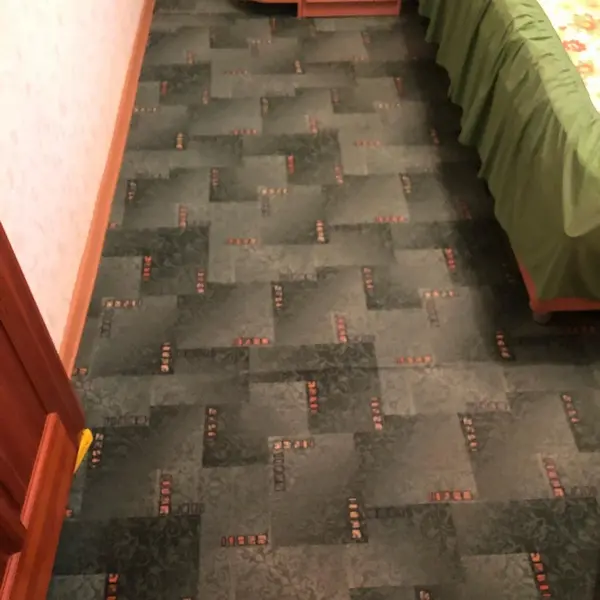 ковровое покрытие до чистки