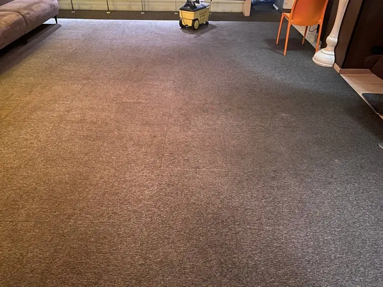 ковролин в офисе после чистки